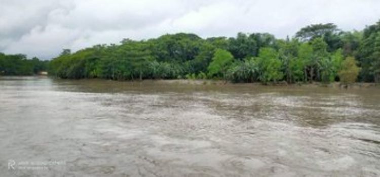 assamflood.jpg