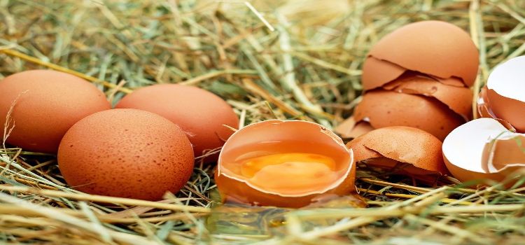 eggsoriginal.jpg