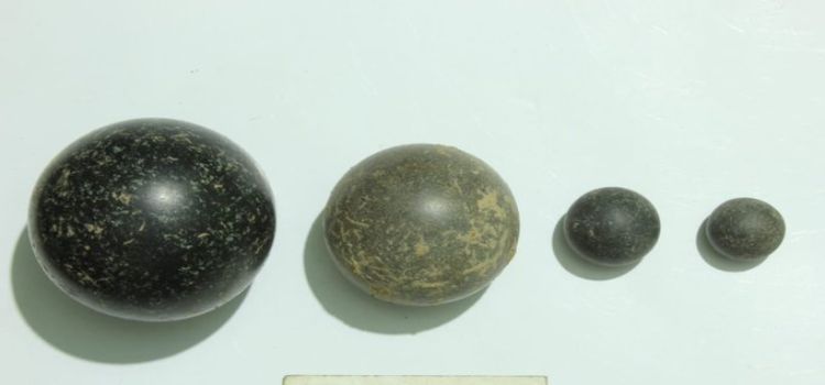keeladiweightballs.jpg