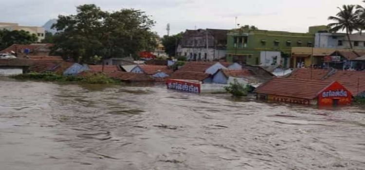 kerala11.jpg