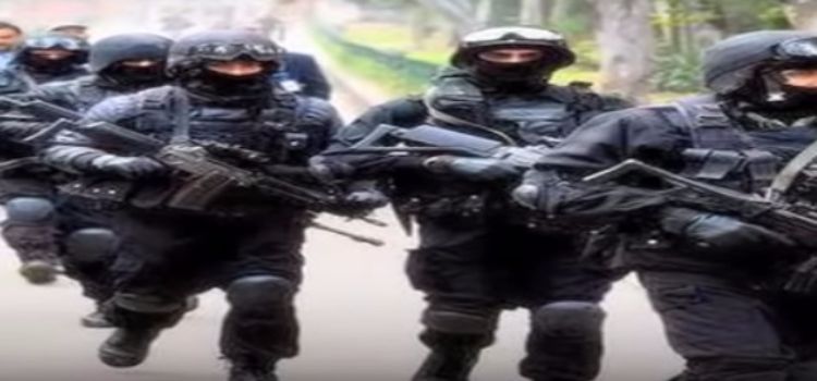 spgguard.jpg
