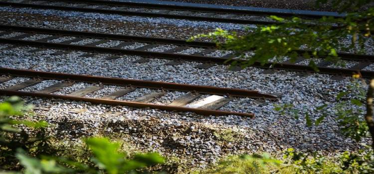traintrack.jpg