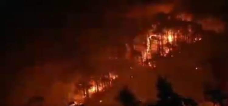 uttarakhanfire.jpg