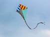 flyingkite